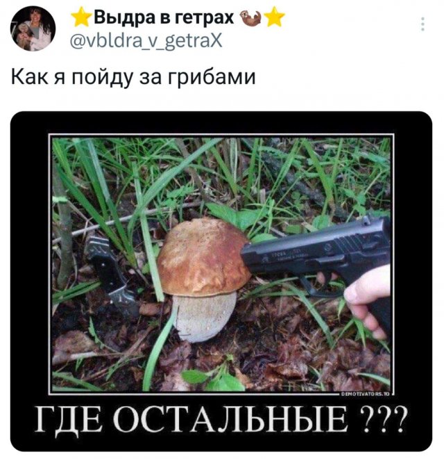 Подборка забавных твитов обо всем