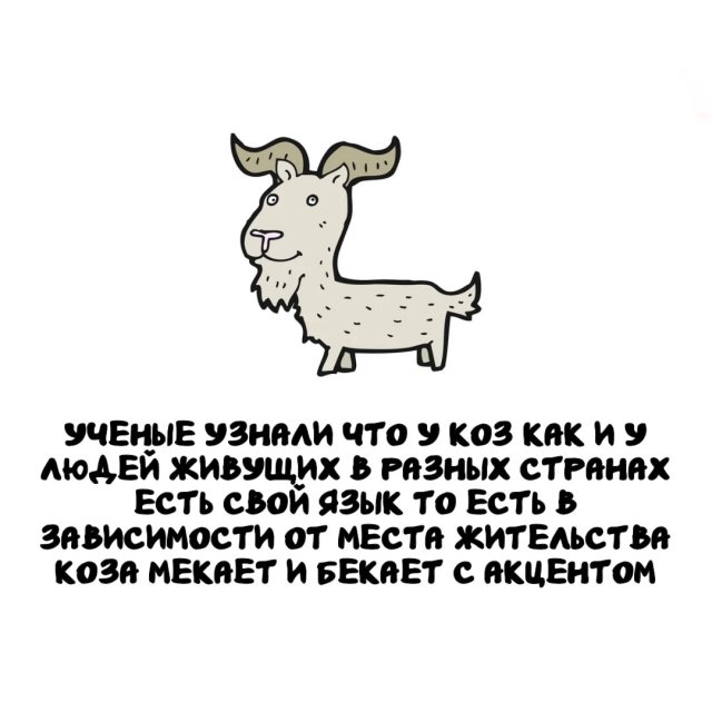 Интересные факты на все случаи жизни