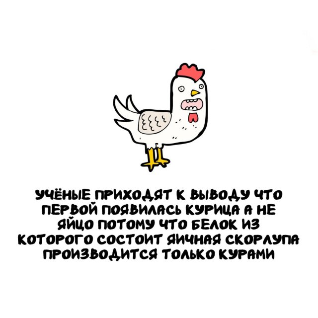 Интересные факты на все случаи жизни