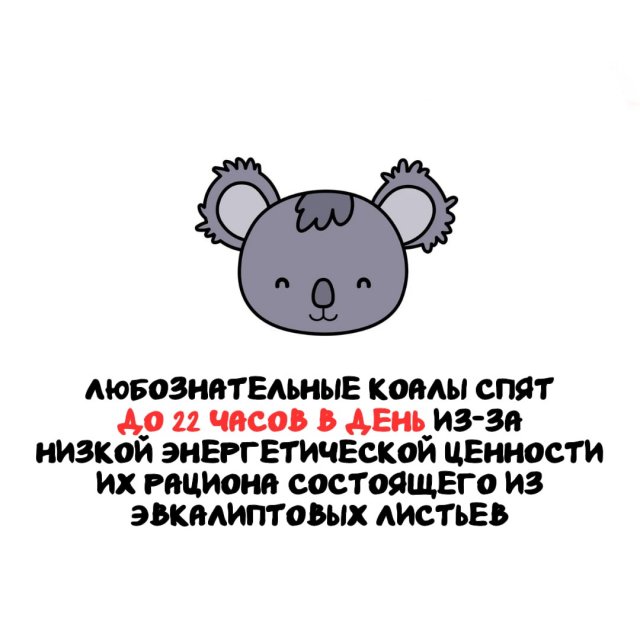 Интересные факты на все случаи жизни