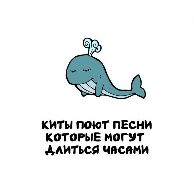 Интересные факты на все случаи жизни