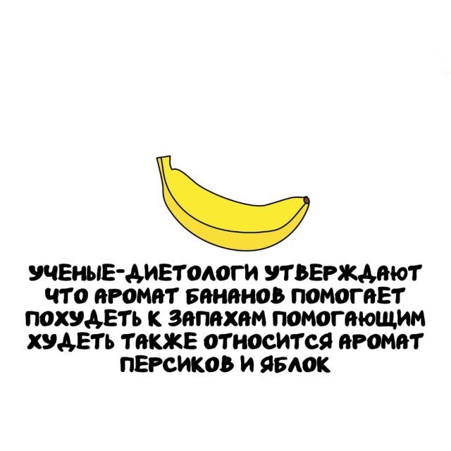 Интересные факты на все случаи жизни
