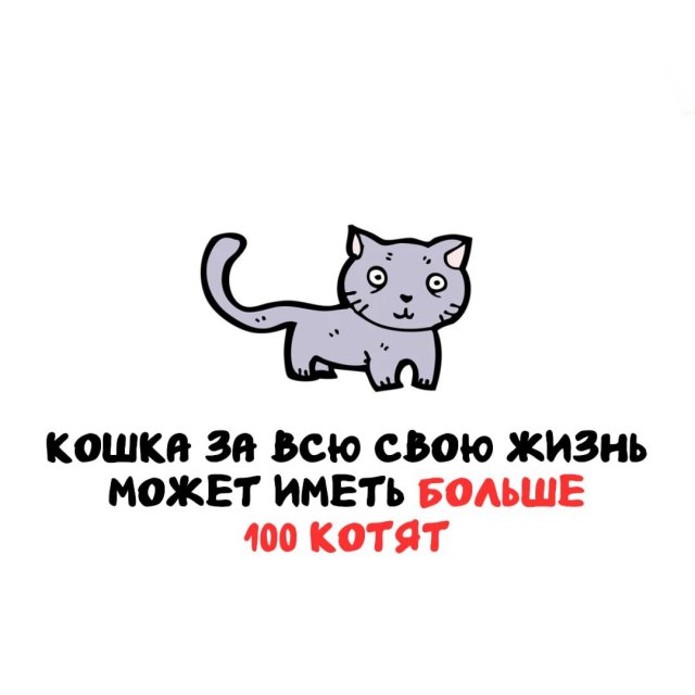 Интересные факты на все случаи жизни