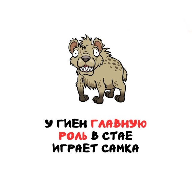 Интересные факты на все случаи жизни