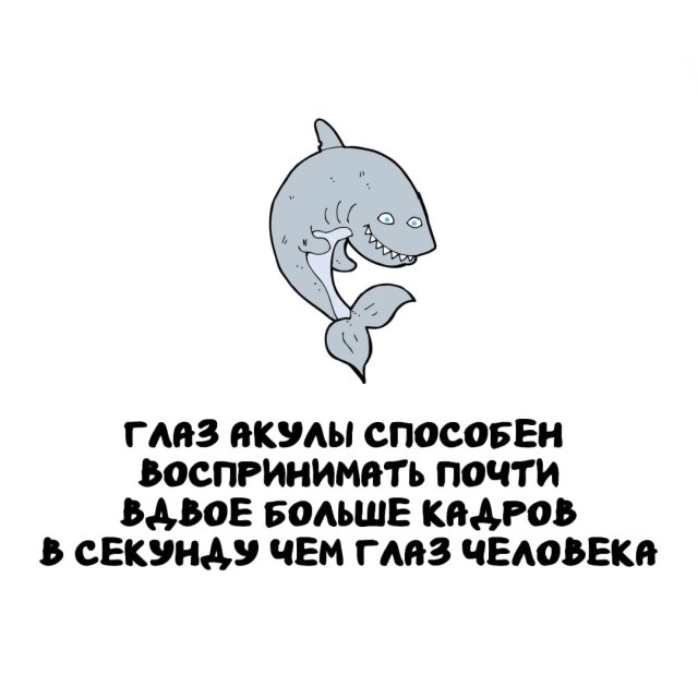 Интересные факты на все случаи жизни