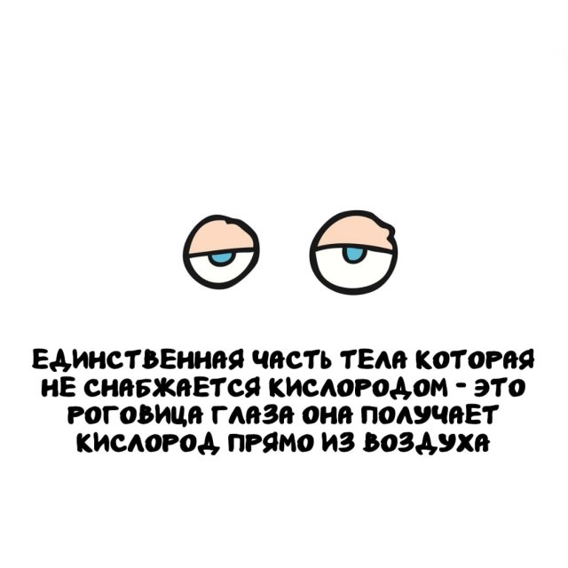 Интересные факты на все случаи жизни