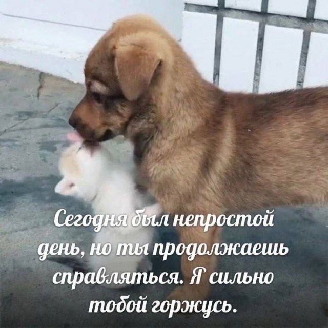 Лучшие шутки и мемы из Сети - 10.09.2025