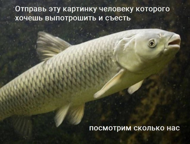 Лучшие шутки и мемы из Сети - 10.09.2025