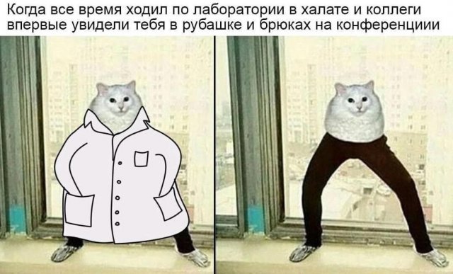 Лучшие шутки и мемы из Сети - 10.09.2025