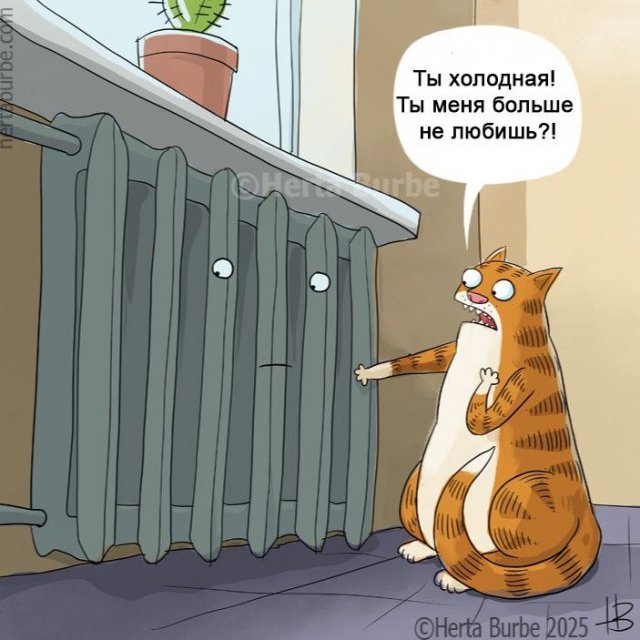 Смешные мемы - 11.09.2025