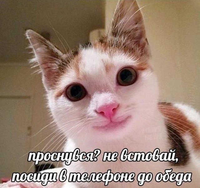 Смешные мемы - 11.09.2025