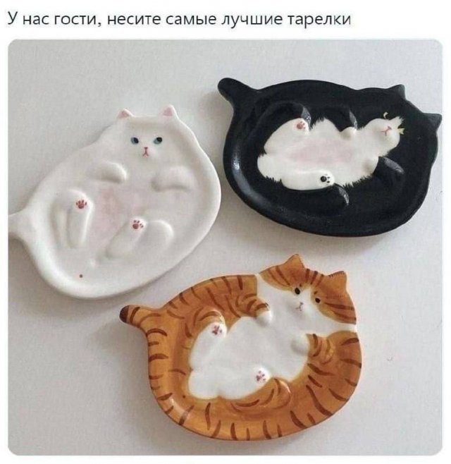 Смешные мемы - 11.09.2025