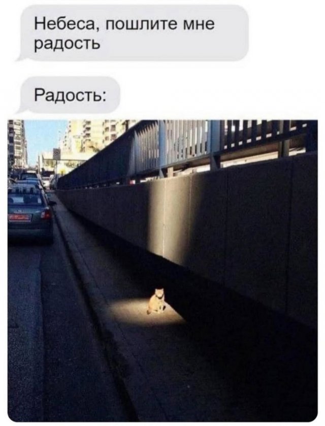 Смешные мемы - 11.09.2025