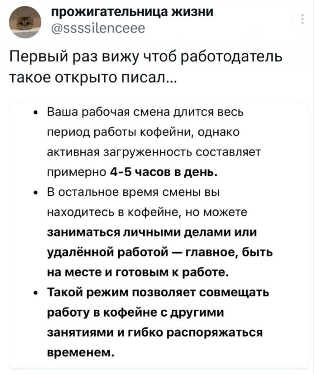 Подборка забавных твитов обо всем