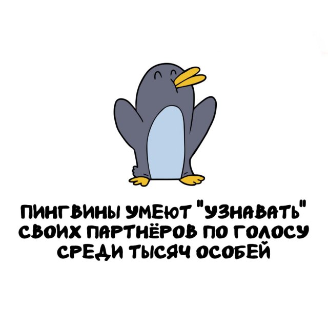 Интересные факты на все случаи жизни