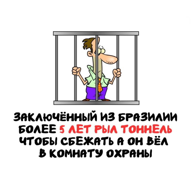 Интересные факты на все случаи жизни