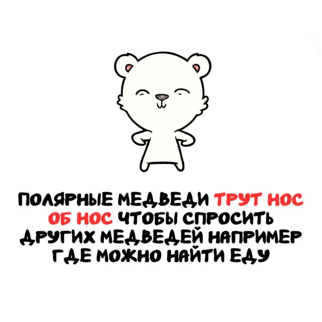 Интересные факты на все случаи жизни