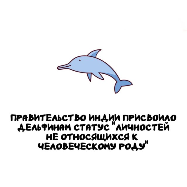 Интересные факты на все случаи жизни