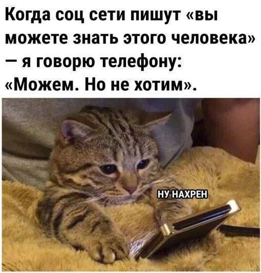 Лучшие шутки и мемы из Сети - 11.09.2025