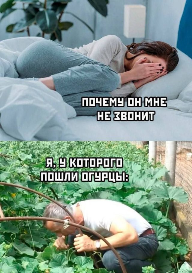 Лучшие шутки и мемы из Сети - 11.09.2025