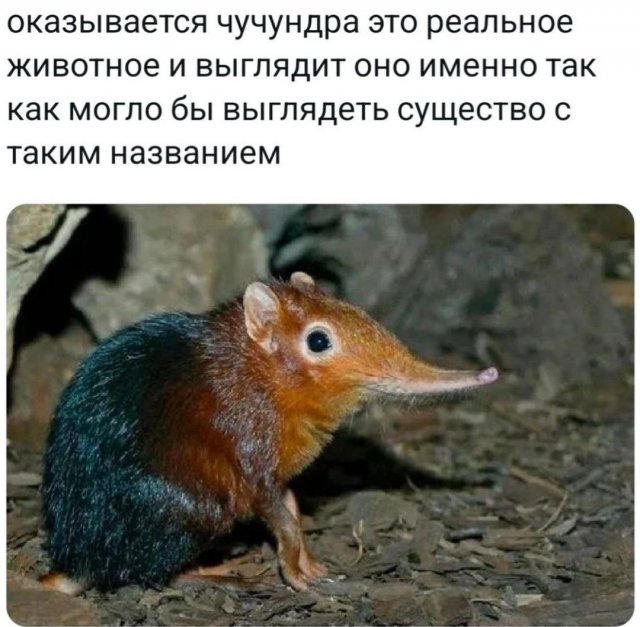 Лучшие шутки и мемы из Сети - 11.09.2025