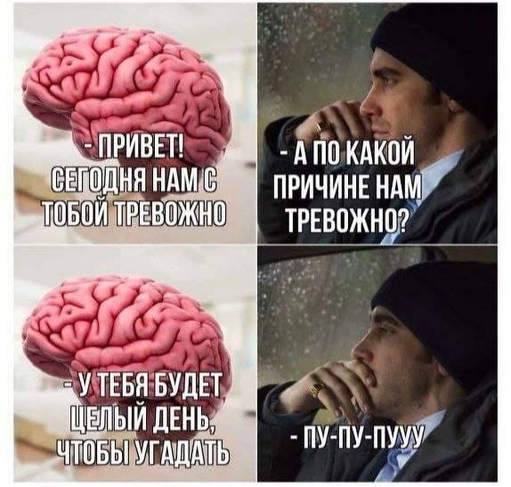 Лучшие шутки и мемы из Сети - 11.09.2025