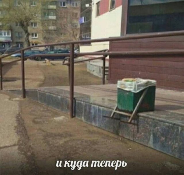 Смешные картинки - 12.09.2025