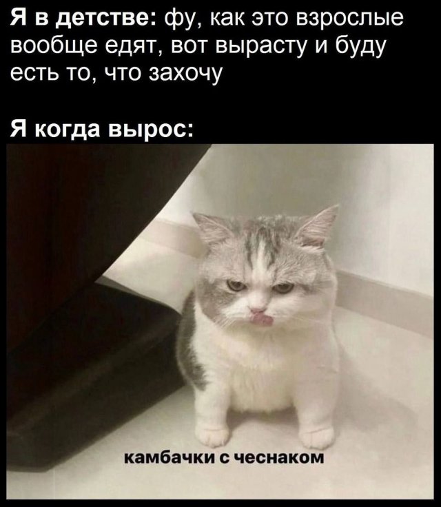 Смешные картинки - 12.09.2025