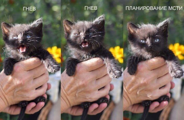 Смешные картинки - 12.09.2025