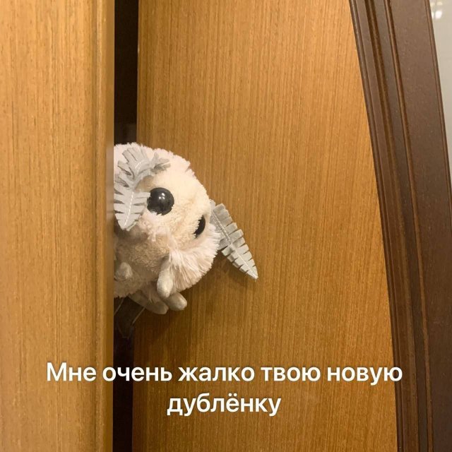 Смешные картинки - 12.09.2025