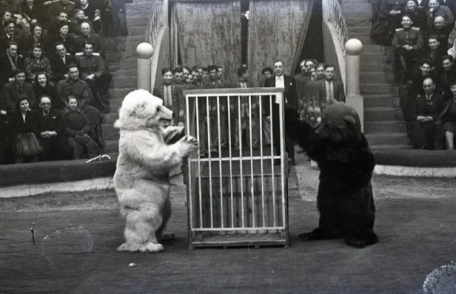 1950-е. Клоунский дуэт: Демаш и Мозельм