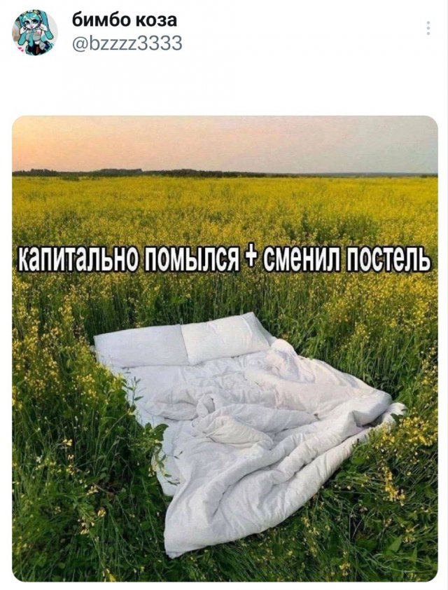 Подборка забавных твитов обо всем