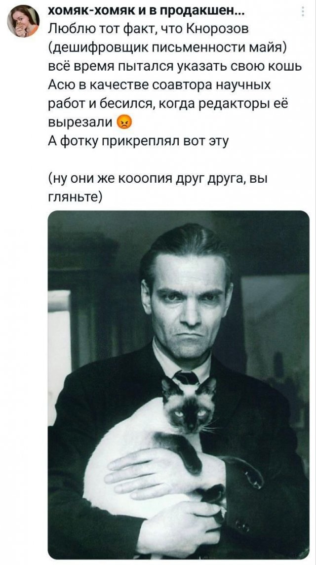 Подборка забавных твитов обо всем