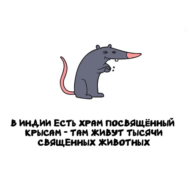 Интересные факты на все случаи жизни