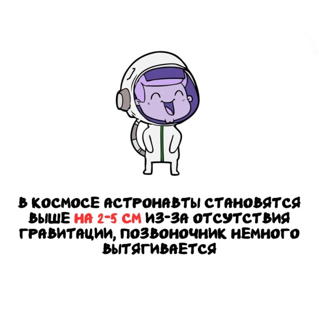 Интересные факты на все случаи жизни
