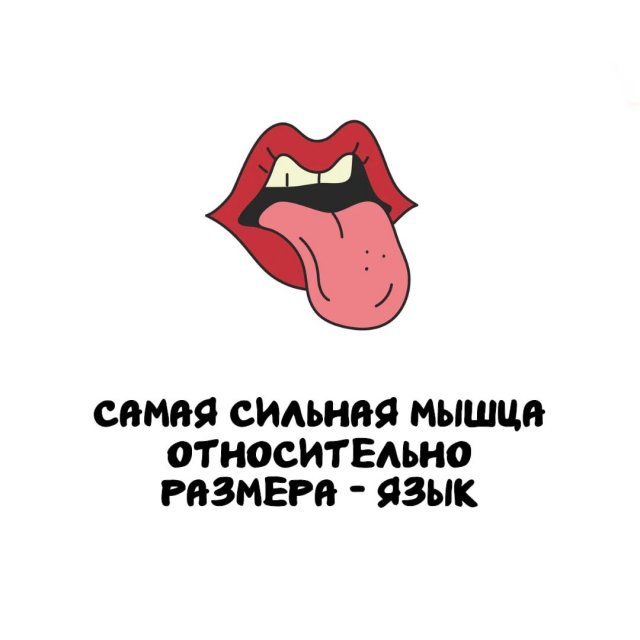 Интересные факты на все случаи жизни