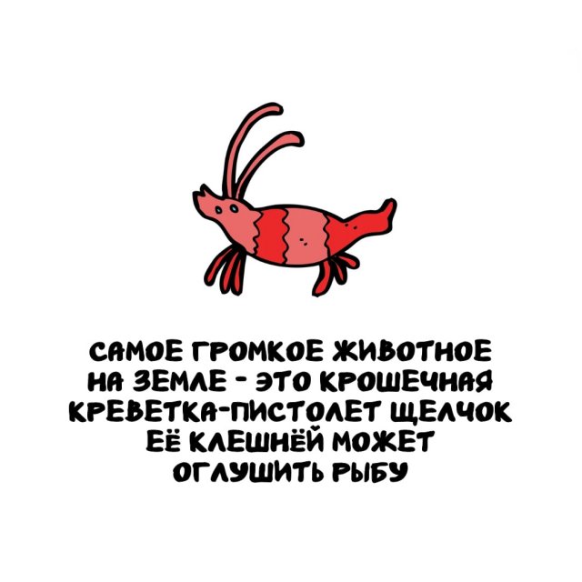Интересные факты на все случаи жизни