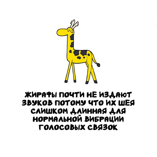 Интересные факты на все случаи жизни