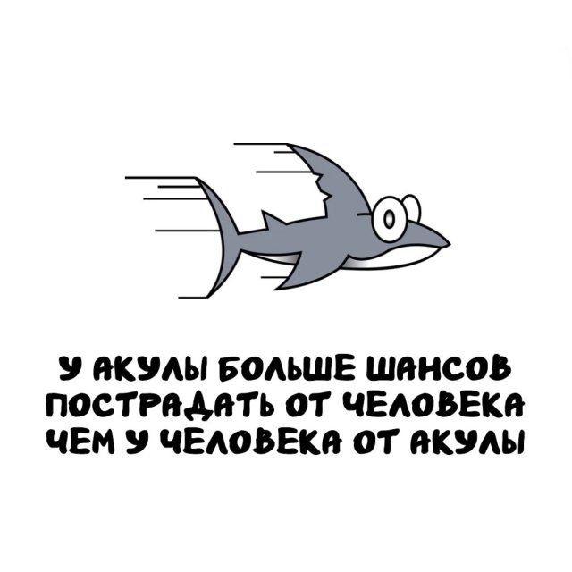 Интересные факты на все случаи жизни
