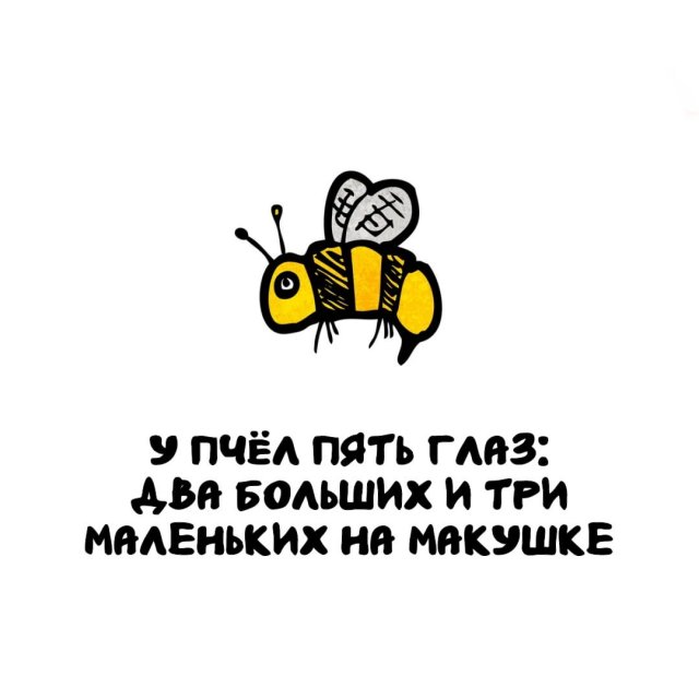 Интересные факты на все случаи жизни