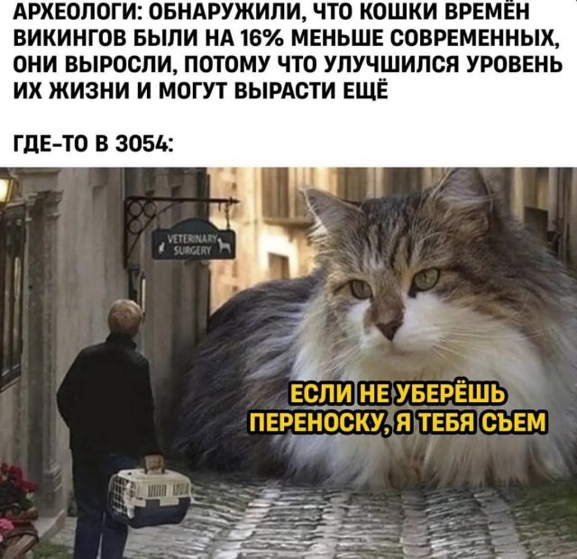 Лучшие шутки и мемы из Сети - 15.09.2025