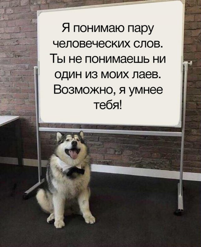 Лучшие шутки и мемы из Сети - 15.09.2025