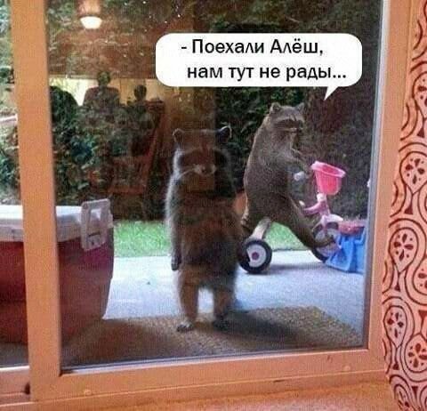 Лучшие шутки и мемы из Сети - 15.09.2025