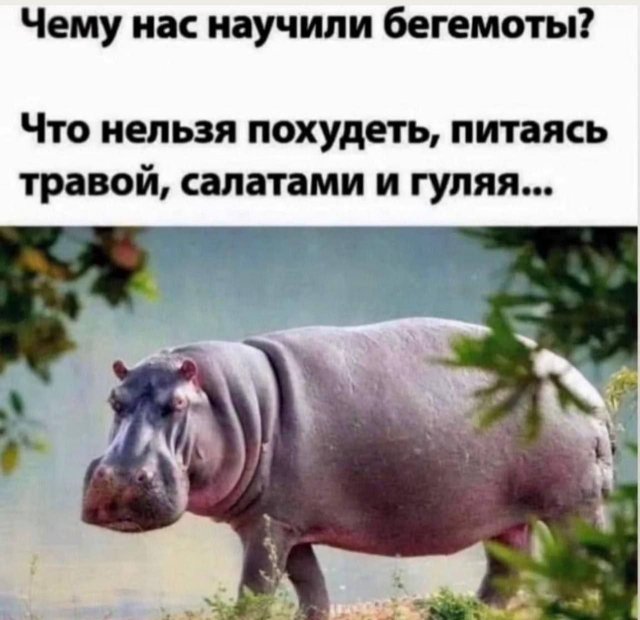 Смешные мемы - 15.09.2025