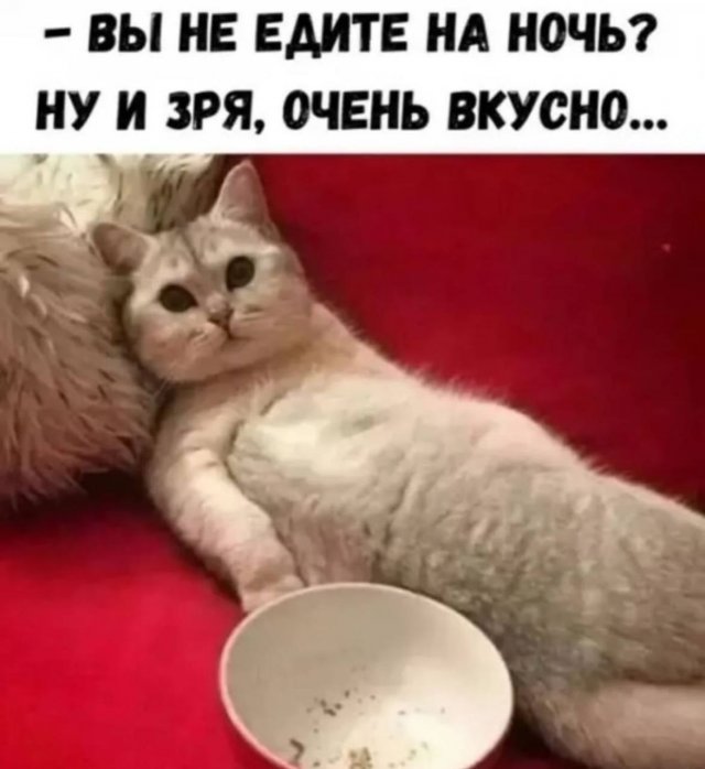 Смешные мемы - 15.09.2025