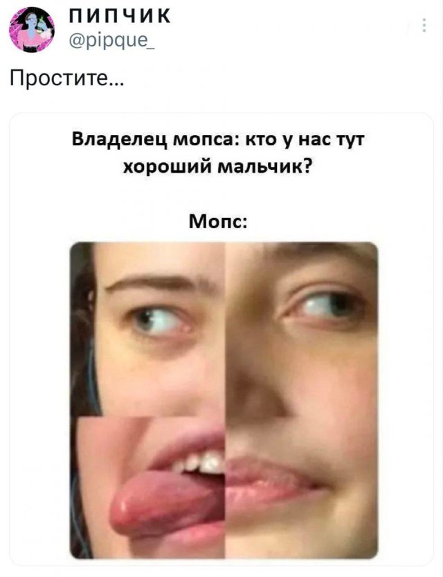 Подборка забавных твитов обо всем