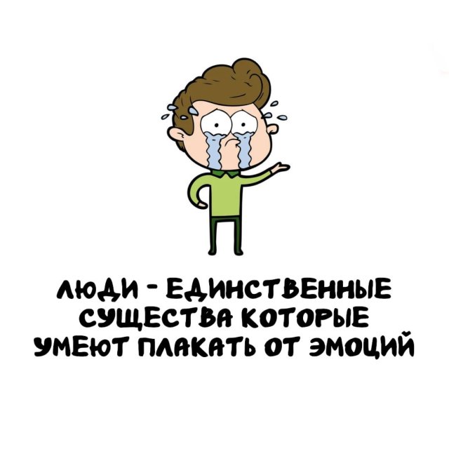 Интересные факты на все случаи жизни