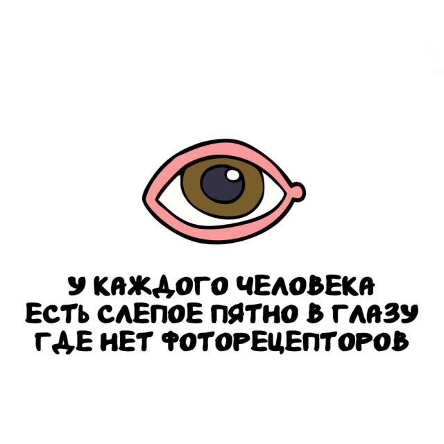 Интересные факты на все случаи жизни