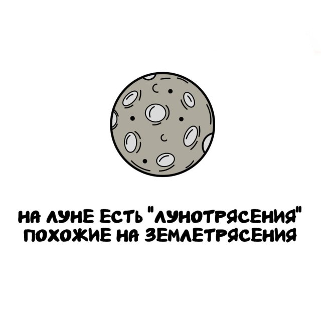Интересные факты на все случаи жизни