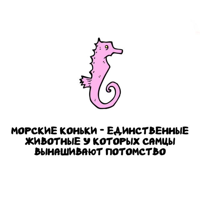 Интересные факты на все случаи жизни